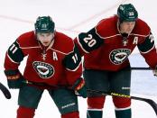 Minnesota Wild Looking to Keep Vancouver Canucks from Playoffs